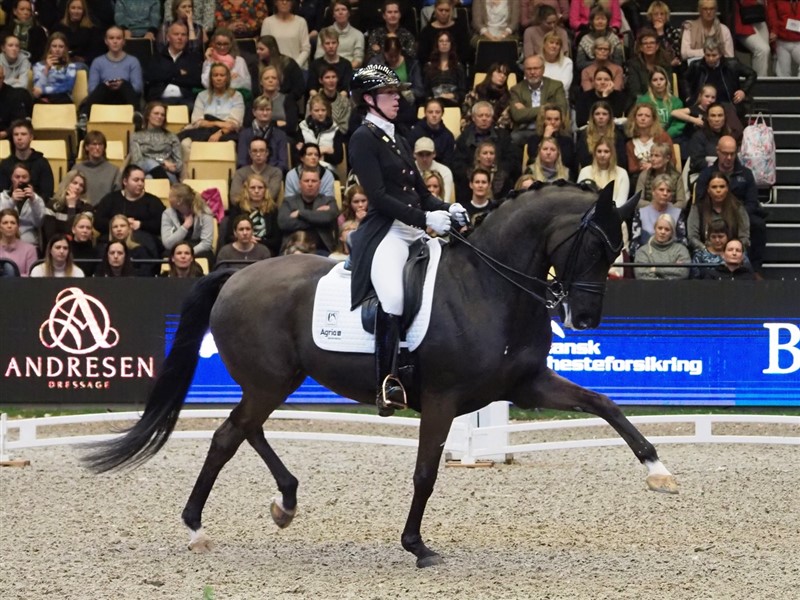 Carina Cassøe Krüth, der har overtaget scenen efter Cathrine Laudrup-Dufour, der for tiden er ude af billedet, har i den nu 12-årige hoppe Heiline’s Danciera, som navnet antyder, en både elegant og meget “letfodet” hest, som det altid er en fornøjelse at se på. I Grand Prix viste de sig fra deres bedste side og vandt sikkert efter et fejlfrit program med 79,717%. I Küren indløb der en dyr fejl i den ene piaffe, og det kostede lige netop sejren. De opnåede på andenpladsen stadig flotte 84,255% med nøjagtig samme pladscifre som vinderen: 2-1-1-1-2-2.
