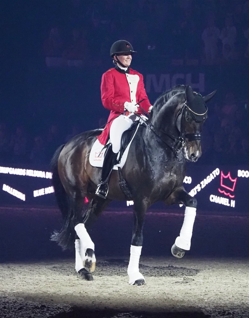 Showet sluttede af med en meget flot fejring af elitehingsten Blue Hors Zack – i dag 19 år og still going strong på flotteste vis med Nanna Skodborg Merrald, som også selv red ham i showet. Det var en genial idé at vise et lille udsnit af hans utallige afkom, heribland 39 kårede hingste! De havde fået påskrevet det nummer, den enkelte havde i den lange række af afkom. Et flot punktum på et flot show.