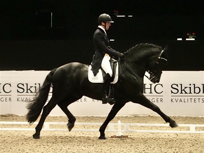 Marc Peter Spahn startede også en frieserhingsten Jeroen Poll i de to 3* Grand Prix-klasser, og den kunne på det fineste changere for hvert galopspring, så det kan altså lade sig gøre, selvom man er ”konstrueret” til at gå for vogn. Men det blev i Grand Prix Special kun til 66,766%.
