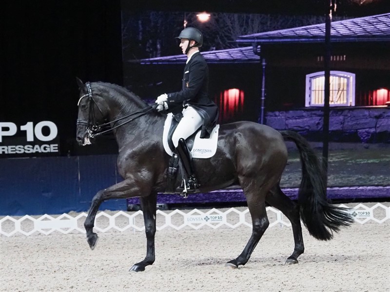 Kun 29-årige Sönke Rohtenberger fra Tyskland har fået dressurridning ind med modermælken. Både hans far, Sven-Günther, og hans hollandske mor, Gonnelien, har været olympiske deltagere.
Sönke red på den 11-årige elegant og letgående Matchball, som næsten er for klein til den høje unge mand. Desværre indløb der en stor ulydighed i Kür, så de sluttede på en niendeplads med 76,990%, medens det i Grand Prix var blevet til en syvendeplads med 73,217%. Men kommer tid, kommer råd!