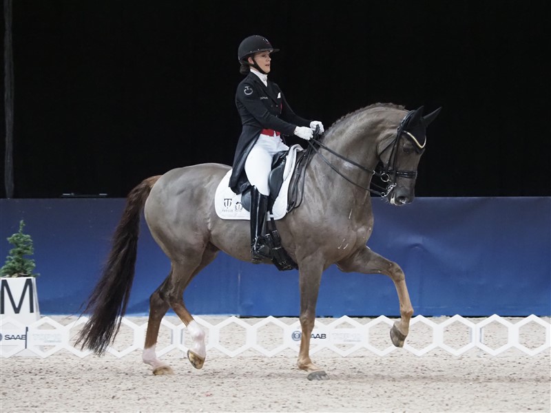 Det er skrevet så tit, men kan ikke gentages for ofte, hvor smukt nr. to på verdensranglisten Cathrine Dufour både rider og sidder, og hvor veltilfreds Bohemian ser ud, selv om det, der forlanges af den, er de sværeste inden for dressursporten overhovedet. De er et forbillede for alle til efterfølgelse. At blive nr. to i selskab med Jessica von Bredow-Werndl er ikke et nederlag – det er en sejr at lægge resten af feltet bag sig.