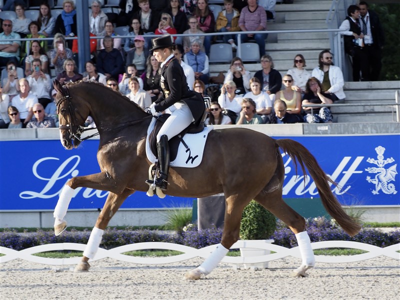 Isabell Werth sætter ligesom jeg stor pris på elegance og tradition og har kæmpet for, at man fortsat internationalt må ride med høj hat - men forgæves. Men til sin afskedsfejring af Bella Rose havde hun klædt sig, som hun synes, man bør, når man rider Grand Prix.