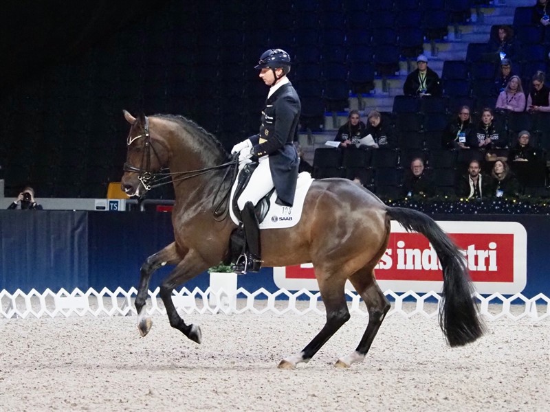 Ophavsmanden til det helt specielle og meget højt doterede koncept som Lövsta Top 10 Dressage er, svenske Patrik Kittel, er også altid at finde på starterlisten. Han startede i år den 11-årige Touchdown, som det danske dressurpublikum kender så godt. Dens styrke ligger især i de frie gangarter, hvorimod det kniber lidt mere at lukke tilstrækkeligt sammen bagtil i passage og piaffe.
De blev nr. 6 i Grand Prix (74,304%) og nr. 5 i Grand Prix Kür med 84,385%.