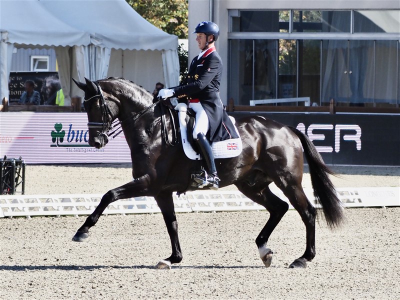 Carl Hester fra Storbritannien kan man vel snart kalde dressursportens "grand old man” sine kun 54 år til trods. Han har med utallige heste været med i topsporten i en menneskealder og har adskillige især holdmedaljer på sit CV. Carl Hester, som er Charlotte Dujardins mentor og træner, rider altid forsigtigt og velovervejet, og med 12-årige En Vogue besatte han 13. pladsen i Grand Prix Kür, blev nr. seks i Grand Prix Special og var med på det sølvvindende britiske hold ved EM.
