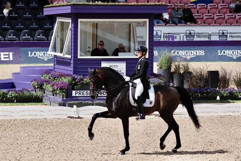 Dommerne havde det herligste udsyn i de forhøjede dommerskure omkranset af lilla blomster, men da det var et officielt FEI-mesterskab, var der hele syv af dem. Det betød et begrænset udsyn for en del tilskuere og gjorde det rigtig svært at være fotograf – der var næsten altid et dommerskur i vejen! Her er det Ingrid Klimke fra Tyskland på Franziskus.