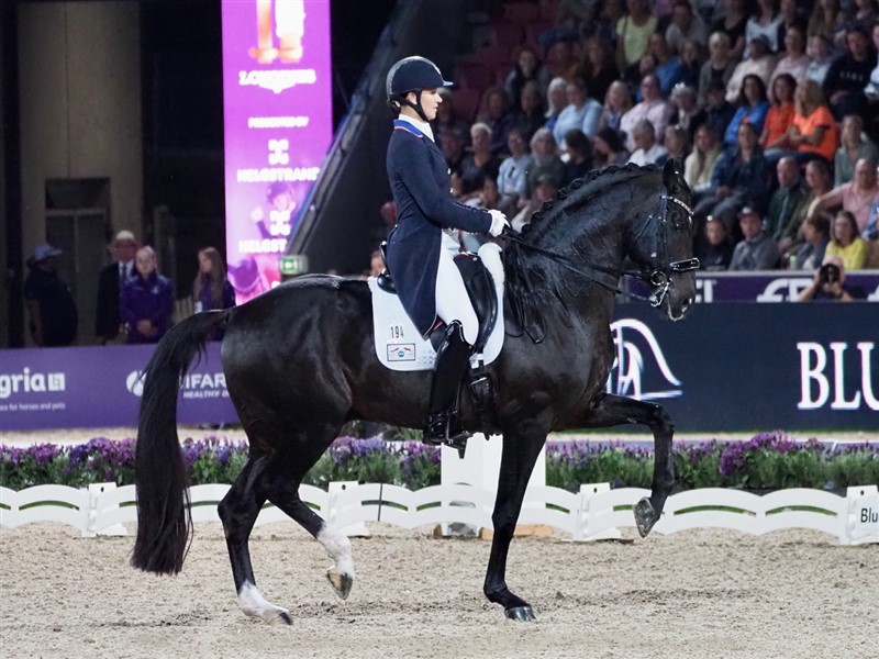 Adrienne Lyle fra USA blev eneste amerikanske rytter, der nåede helt til finalen. Her er hun fanget i et moment i noget, der kommer en perfekt passage meget tæt. Hendes hest Salvino er efter Sandro Hit, der har givet en masse gode dressurheste. De opnåede 83,704% og en flot sjetteplads.