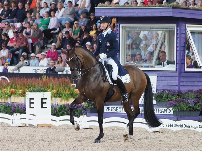 Patrick Kittel fra Sverige har i årevis hørt til eliten i international dressursport. Med sig til Herning havde han den kun 10-årige charmerende Touchdown, som har en fri trav så man “hører englene synge”. Her i en smuk passage – dog måtte hestens næseryg gerne være bedre fremme. De blev nr. syv med 83,679%.