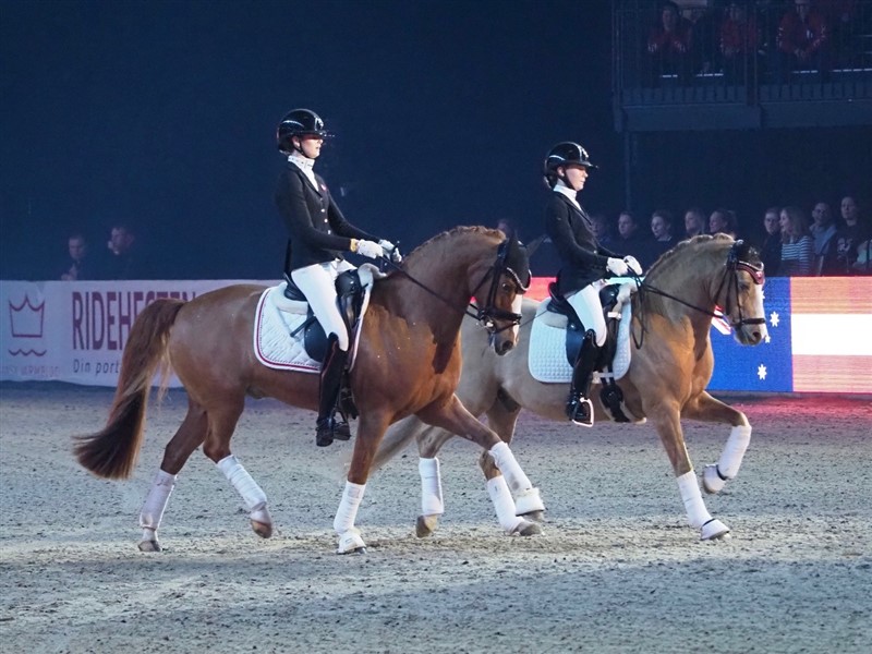 Showet åbnede med nogle elegante, men desværre unavngivne ponyryttere. (Det er i det hele taget meget svært under gallashowet at finde ud af, hvem der er hvem, og hvem der rider på hvad!).