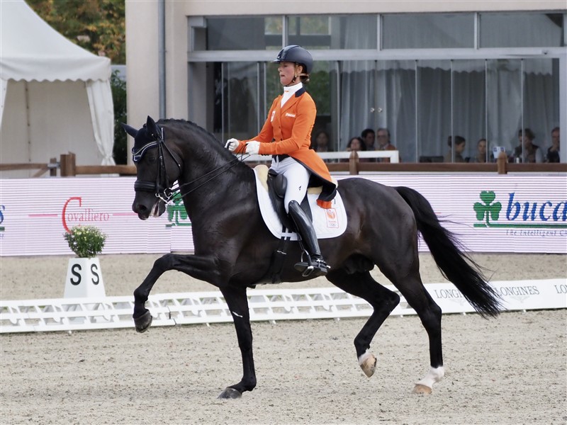 Adelinde Cornelissen fra Holland var i 2010’erne hele Europas dressurdarling med uforglemmelige Parzival med bl.a. adskillige medaljer ved OL, verdensmesterskaber og World Cup-sejre. Men siden har hun haft svært ved igen at nå toppen. I Hagen red hun den yndige kun 10-årige Totilas-søn, hingsten Governor-STR, hvor hun kun lige netop kvalificerede sig til Grand Prix Kür, fordi flere nationer havde mere end de tilladte tre ryttere kvalificeret. Her sluttede deres deltagelse ved EM brat, da hun blev diskvalificeret midt i sit ridt, da der var blod i skummet i hestens mund. Synd, for der havde ikke været tydelig modstand hos hesten, og det kan jo desværre ske, at en hest bider sig i tungen (men ikke hvis den ligger på plads, vil nogle sikkert tilføje!).