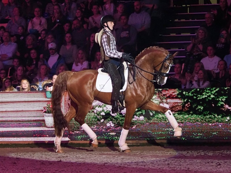 Det er svært at identificere de enkelte ryttere og heste under opvisningerne, men her ses Anders Holck på hingsten Hesselhøj Donkey Boy, som var en af fire "cowboys" og repræsenterede USA.