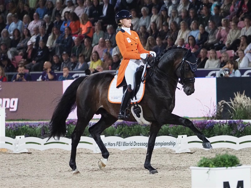 Med to individuelle bronzemedaljer blev Dinja van Liere med den ligeledes hollandske hingst Hermes med afstand bedste hollandske rytter. Her i Küren, verdensmesterskaberne fornemste klasse, opnåede de 86,900% og en tredjeplads for et fejlfrit men lidt glansløst ridt sammenlignet med Charlottes og Cathrines. Men svær var den, og de de opnåede da også 97,857% i sværhedsgrad.