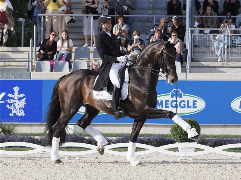 Ingen hest i Aachen bevæger sig i trav og galop med en sådan affjedring og rummelighed, som den kun otteårige avlshingst Jovian redet af Andreas Helgstrand. Til gengæld, er piafferne hingstens unge alder taget i betragtning ikke helt på plads endnu - men kommer tid - kommer råd!