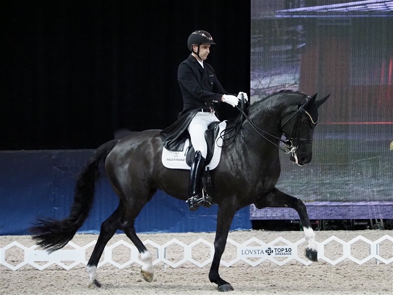 Andreas Helgstrands indsats ved Lövsta Top 10 Dressage blev desværre kun en af kort varighed. Den unge hoppe fik bidt sig let i tungen i den indledende Grand Prix, og det giver lyserødt skum, hvilket betyder diskvalifikation på stedet. Møgærgerligt at køre så langt for så lidt.